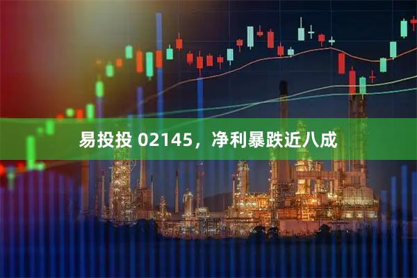 易投投 02145，净利暴跌近八成