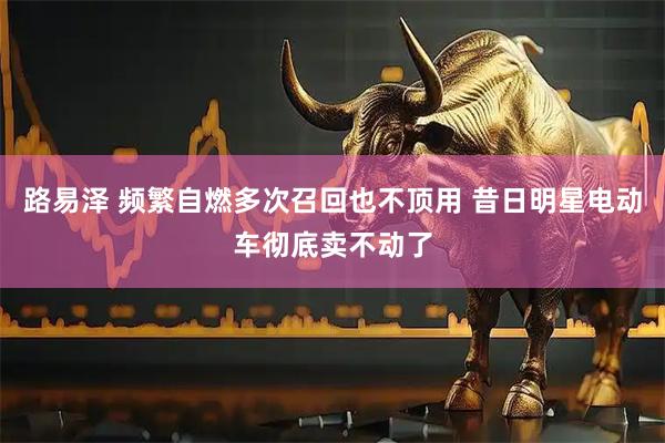 路易泽 频繁自燃多次召回也不顶用 昔日明星电动车彻底卖不动了